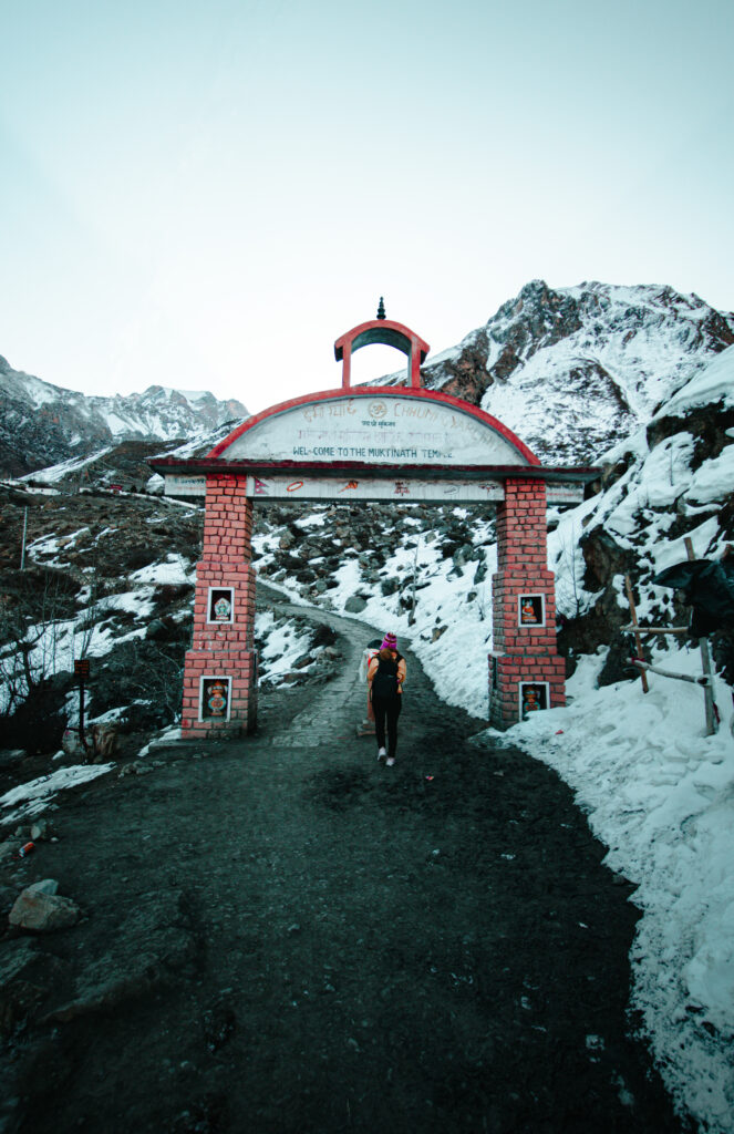 places to visit in India, best places to visit in India in June Valley of Flowers trek in June" and "Ladakh road trip scenery"